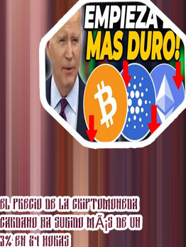 Ada criptomoneda precio