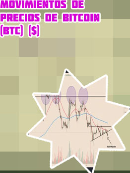 Bit coin precio