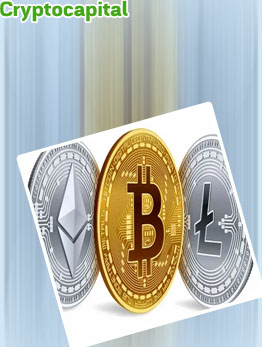 Cryptocapital top