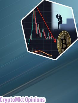 Cryptomarket opiniones