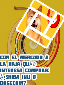 Donde comprar shiba inu criptomoneda