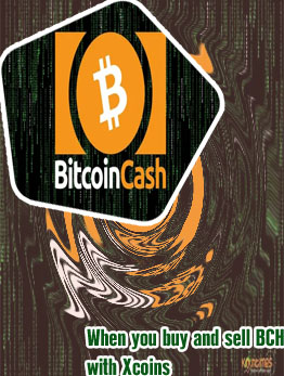 Que es bitcoin cash
