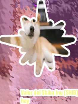 Shiba inu dolar