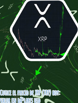 Xrp hoy